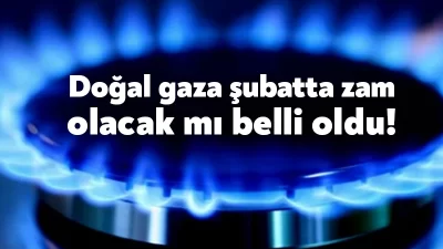 Doğalgazda şubatta geçerli olacak hane, elektrik üretim ve sanayide kullanılan