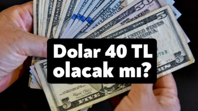 Ekonomist Alaattin Aktaş, 2024'te dolar/TL kurunun 40 liraya bulabileceğini ifade