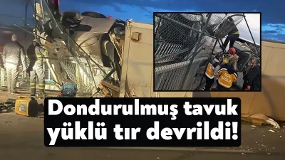 Kocaeli'nin Çayırova ilçesinde dondurulmuş tavuk yüklü tır, aydınlatma direğine çarparak