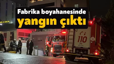 Kocaeli’nin Gebze ilçesinde bir demir ve çelik fabrikasının boyahanesinde çıkan
