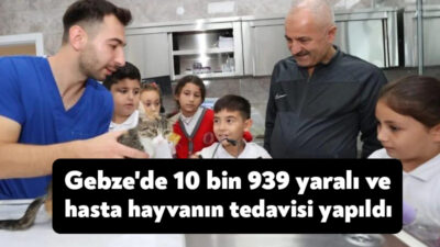 Gebze Belediyesi Veteriner İşleri Müdürlüğüne bağlı ekipler tarafından 2023 yılında