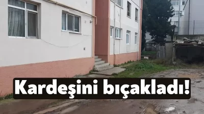 Kocaeli'nin Körfez ilçesinde bir kişi, kavga ettiği kardeşini göğsünden bıçakladı.