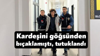 Kocaeli'nin Körfez ilçesinde kardeşini göğsünden bıçaklayarak ağır yaralayan şahıs tutuklandı.