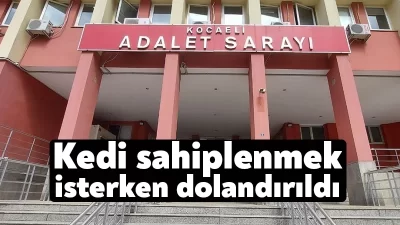 Kocaeli'de kedi sahiplenmek isteyen kadın, internet üzerinden iletişim kurduğu şahıslar