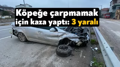 Kocaeli’de sürücüsünün köpeğe çarpmak için manevra yaptığı otomobil kontrolden çıktı.