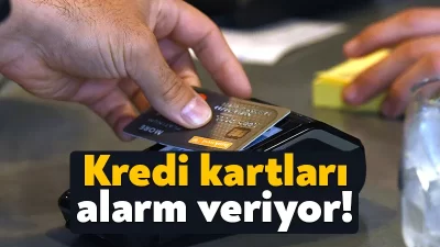 Vatandaşın kredi kartı borcu rekor kırıyor. Geçen yıla göre yüzde