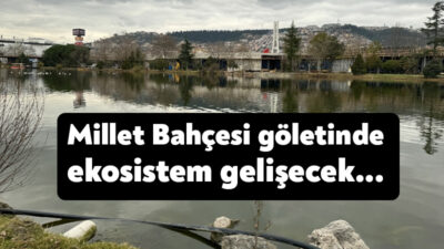 Millet Bahçesi içinde yer alan, Kocaeli’nin sembollerinden göletin daha sağlıklı