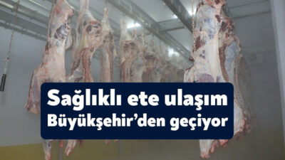 Hijyenik ortamda hizmet veren Büyükşehir Mezbahasında 2023 yılında 7.672 hayvanın