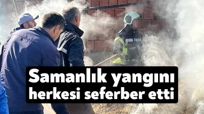 Kocaeli'nin İzmit ilçesinde tek katlı evin yanında bulunan samanlıkta çıkan