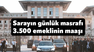 CHP Adıyaman Milletvekili Abdurrahman Tutdere, “Sarayın günlük masrafı 35 milyon