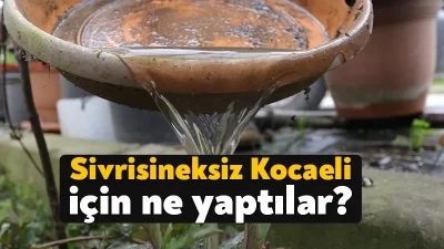 Kocaeli Büyükşehir ekipleri sivrisineksiz Kocaeli için 2023 yılında 204 milyon