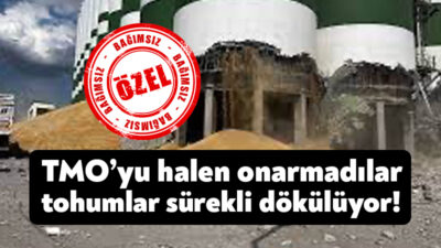 DEM Parti Kocaeli Milletvekili Ömer Faruk Gergerlioğlu, TMO silo patlamasından