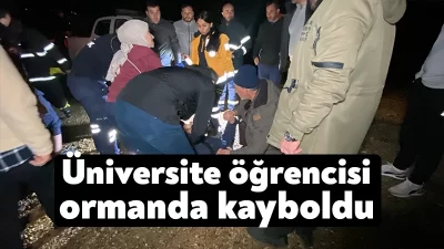 Kocaeli'nin Kandıra ilçesinde ormanlık alanda kaybolan genç, havanın kararmasıyla çıkış