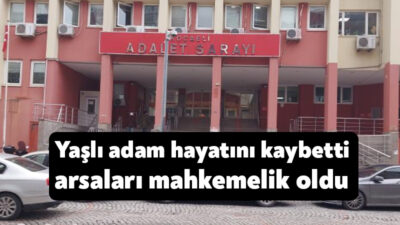 Kocaeli'de 90 yaşındaki Basri Cebeci'nin üvey kızının eşi tarafından kandırılarak