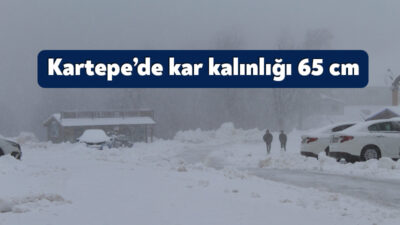 Geçtiğimiz haftadan bu yana soğuk hava ve kar yağışının etkili