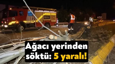  Kocaeli'nin İzmit ilçesinde otomobilin refüjdeki ağaca çarparak savrulduğu kazada 1'i