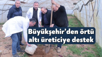 üyükşehir, mevsimlik sebze yetiştiriciliğine teşvik amacıyla Gebze ilçesinde Örtü Altı