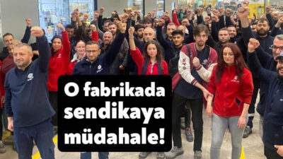 Kocaeli Dilovası İmes Organize Sanayi Bölgesi’ndeki Arteche Türkiye (Esitaş Elektrik)