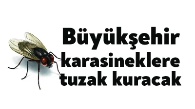 Kocaeli Büyükşehir Belediyesi Sağlık ve Sosyal Hizmetler Dairesi Başkanlığı Veteriner