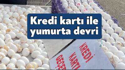 Şubat 2018’de tanesi 25 kuruş, 30’lu kolisi ise 7,5 TL’den