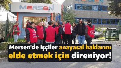 Gebze Organize Sanayi Bölgesi (GOSB) içerisinde bulunan Mersen'de Birleşik Metal-İş üyesi
