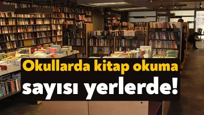 MEB’in verilerine göre 2019’da 4,38 olan lisede öğrenci başına okunan
