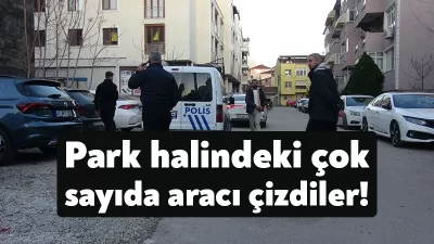 Kocaeli'nin İzmit ilçesinde sokağa park edilen çok sayıda araç kimliği