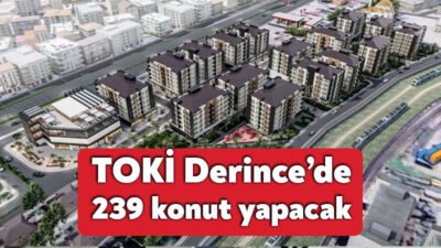 Toplu Konut İdaresi Başkanlığı, Derince Deniz Mahallesi Kentsel Dönüşüm Projesi