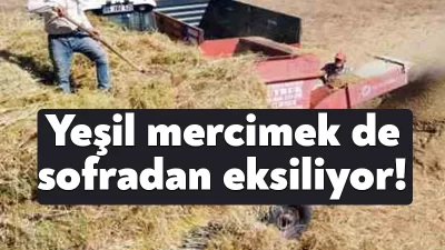 Tarım politikaları her alanda iflas etti. Önemli bakliyat üreticisi konumundaki
