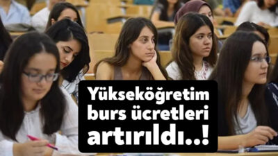 Yükseköğretim Kurulu (YÖK), Doktora Destek Bursu ve Lisans Destek Bursu