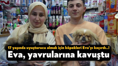 Kocaeli'nin İzmit ilçesinde petshop önünden pekinez cinsi köpeği çalan 17