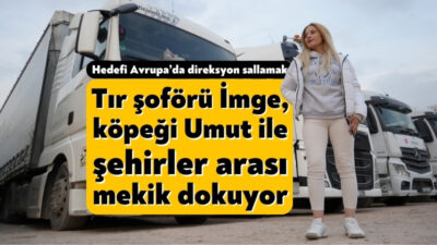 Kocaeli'de tır şoförü İmge Okur, "Umut" isimli köpeğiyle birlikte şehirler