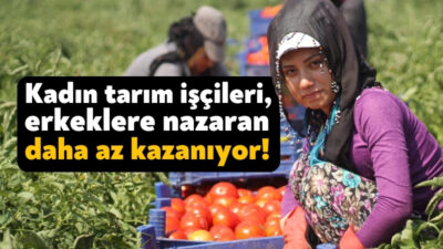 TUİK verilerine göre, tarımsal işletmelerde mevsimlik görev alan kadınlar, erkeklerden