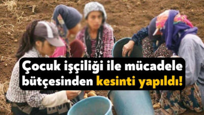 Çalışma Bakanlığı’nın 2024 Performans Programı’na göre her kalemin bütçesinde artışa