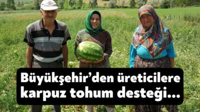 Büyükşehir Belediyesi, üreticilere yüzde 50 hibeli sertifikalı hibrit karpuz tohumu