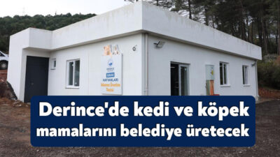 Derince'de lokantalardan temin edilecek gıda artıkları ile kedi ve köpek