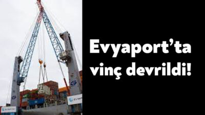 Kocaeli'nin Körfez ilçesinde faaliyet gösteren dev liman işletmesi Evyaport vinç