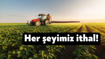 TÜİK’e göre geçen yıl 14 milyar dolarlık tarım ürünü ithal