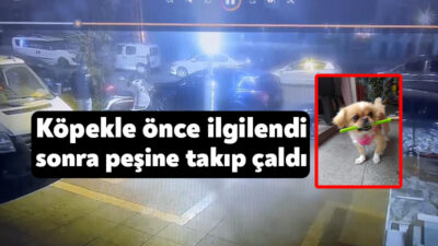 Kocaeli'nin İzmit ilçesinde petshop önündeki pekinez cinsi köpeğin çalındığı anlar