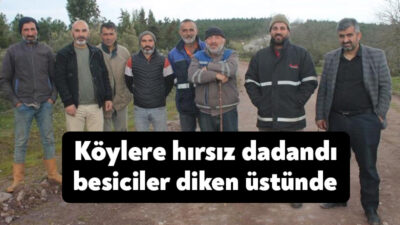 Kocaeli'nin Körfez ilçesindeki ahırlardan farklı zamanlarda yaklaşık 200 'boz ırk'