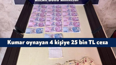 Kocaeli'de umuma açık eğlence ve istirahat yerlerinde yapılan denetimlerde kumar