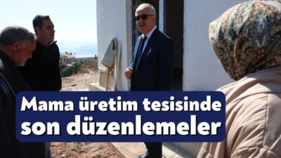 Derince Belediye Başkanı Zeki Aygün, sokak hayvanları için inşa edilen