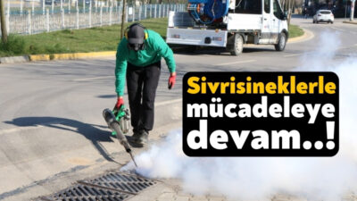 Kocaeli Büyükşehir Belediyesi ekipleri sivrisinek ve karasineklerle mücadelede yaklaşık bir