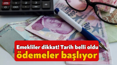Çalışma ve Sosyal Güvenlik Bakanı Vedat Işıkhan, kamu bankalarındaki emekli