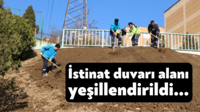 İstinat duvarı yıkılarak zarar gören Yuvam Akarca 4. Adada yeşillendirme