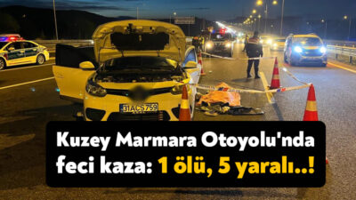 Kuzey Marmara Otoyolu’nun Kocaeli geçişinde kamyonet ile otomobilin çarpıştığı kazada