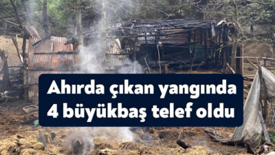 Kocaeli'nin Gölcük ilçesinde ahırda çıkan yangın bir saatte söndürülürken 4