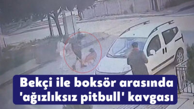 İzmit'te bekçi ile pitbull cinsi köpeği ağızlıksız çocuk parkında dolaştırdığını