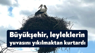 Büyükşehir ekipleri, Kandıra Kocakaymaz Mahallesi’nde rüzgâr nedeniyle yıkılma tehlikesi olan