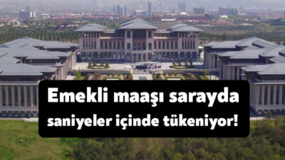 Çalışma ve Sosyal Güvenlik Bakanı Vedat Işıkhan'ın asgari ücrete ara